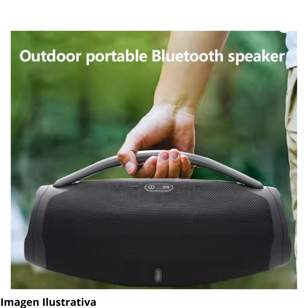 Parlante Portatil Microfono Inalambrico